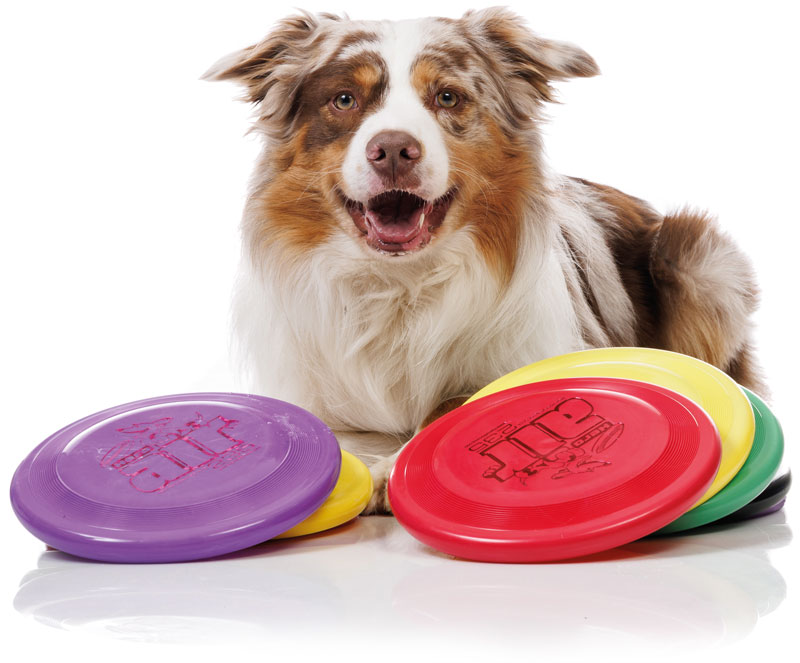 webshop-dogfrisbee